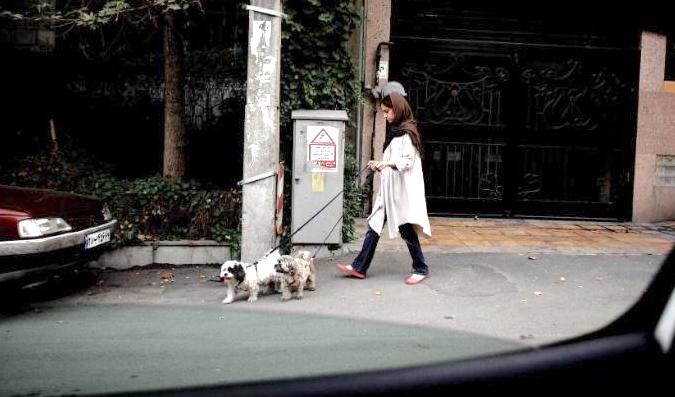 Dog walker in Iran - now banned in Tehran