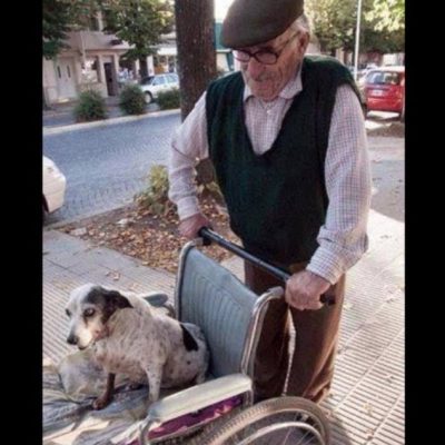 Human and dog are on equal terms