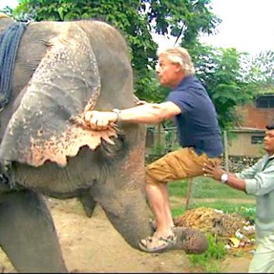 Martin Clunes climbs an elephant's trunk