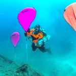 Protecting sea horses from ghost nets