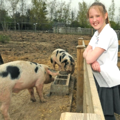 Farsley Farfield Primary School pupil Charlotte Heap says everybody there understands the pigs are destined for slaughter.