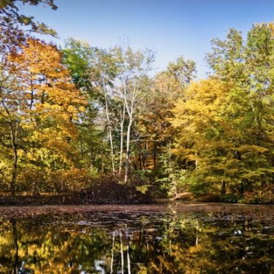 Tiergarten Park Berlin