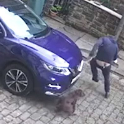 Scared delivery man runs from barking dog