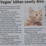 Vegan kitten nearly dies
