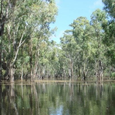 Murray Valley National Park