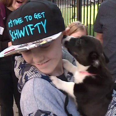 Johnny's wish comes true after arduous chemo treatment of getting a dog