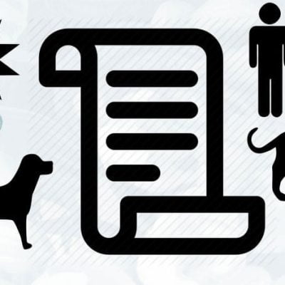 Contract between humans and cats and dogs