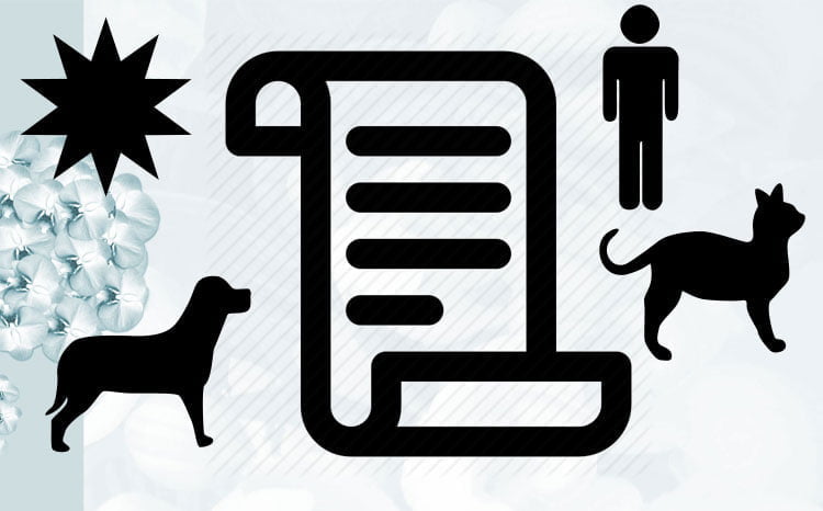 Contract between humans and cats and dogs