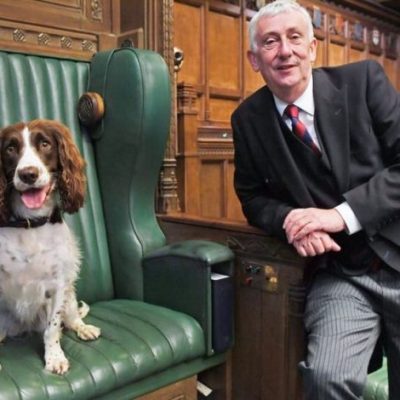 Poppy sits in Speakers chair