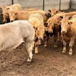 Berryfields Farm near Daventry, Northamptonshire