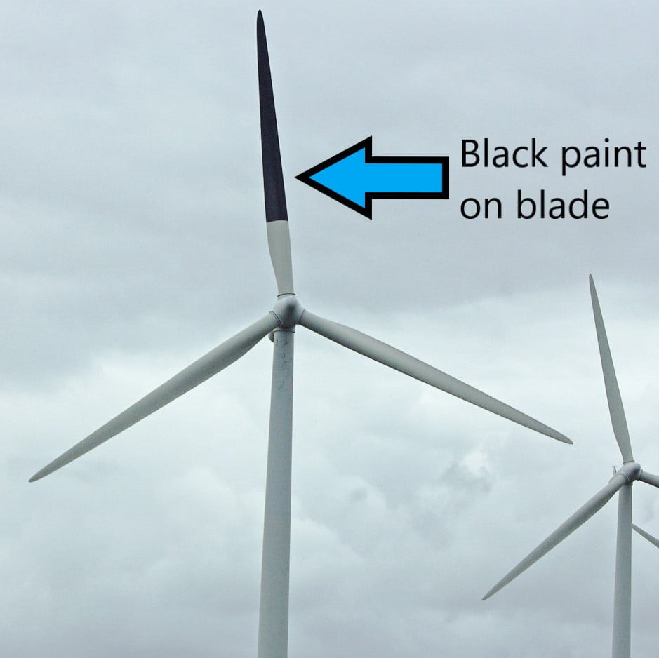 How to protect birds from flying into wind turbines