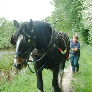Horse drawn barge on the Kennet and Avon Canal