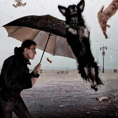 Rainging cats and dogs origin