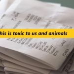 Bisphenol receipts