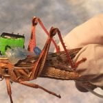 Locust rigged with transmission deLocust rigged with transmission devicevice