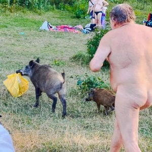 Naked man chases wild hog