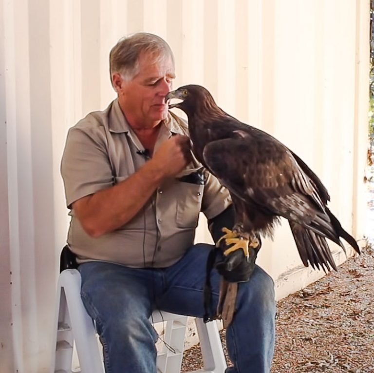 Wildlife rehabilitators might only survive for about three or four