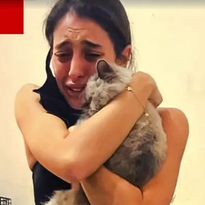 Woman reunited with her cat who was lost after the Beirut explosion