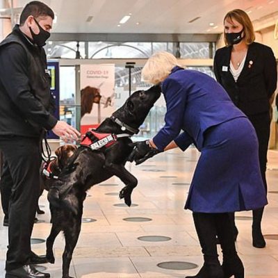 Coronavirus sniffer dog meets the duchess
