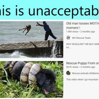 Dog rescue videos are an abuse of the animal because of the maker's desire to get views and therefore advertising revenue