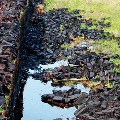 Peat bog and harvesting