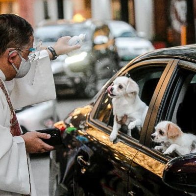 Priest blesses a dog in a passing car in Quezon City