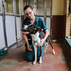 Battersea Dogs & Cats Home