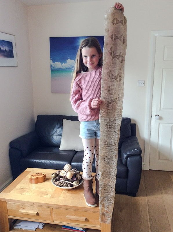 Giant snake skin found by girl in Oxford, UK