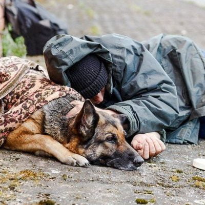 Homeless person and dog