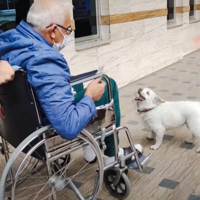 Cemal reunited with Boncuk after he leaves hospital