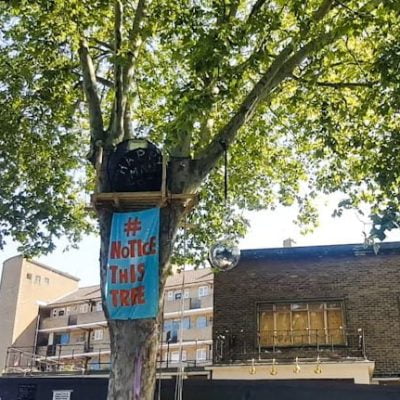 Happy Man tree in Hackney before being felled