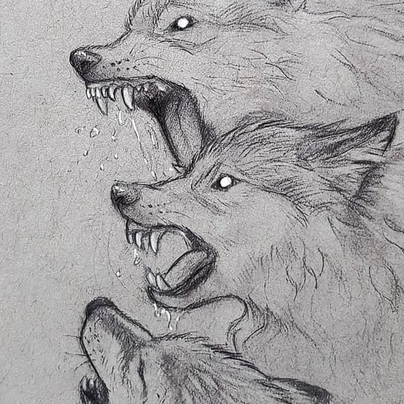 Wolf drawing