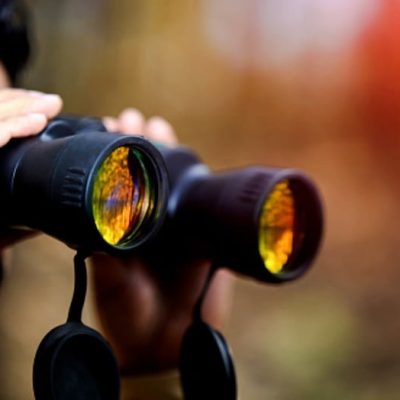 Birdwatching count run by the RSPB is massively up because of Covid-19