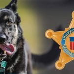 Major nips a White House Secret Service agent