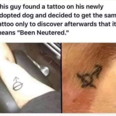 Male sign crosses through to mean that cat has been neutered