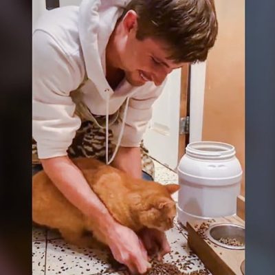 Mild case of cat abuse