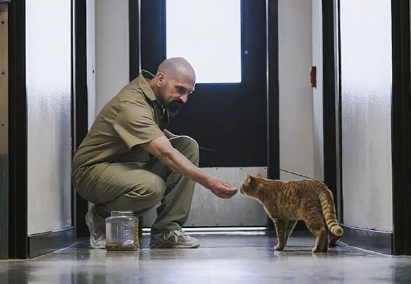 Graig is a prison inmate cat handler for which he is paid 55 US dollars per month