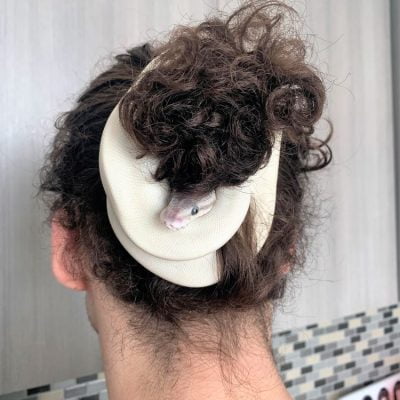 Snake wrapped around a person's hair