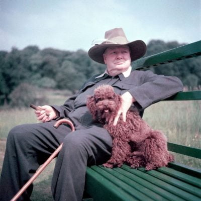 Winston Churchill and his dog, Rufus, at Chartwell in 1950