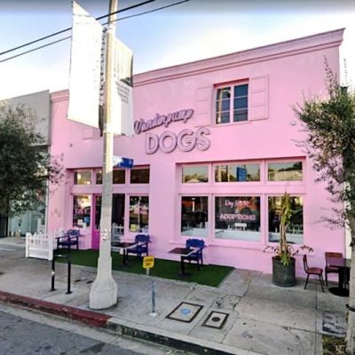 Lisa Vanderpump's dog rescue outlet