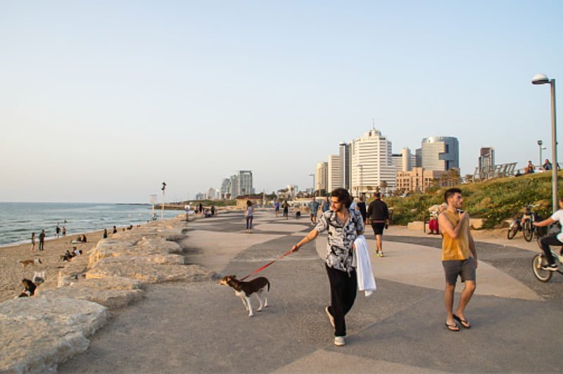 Tel Aviv dog owner acting responsibly, I hope