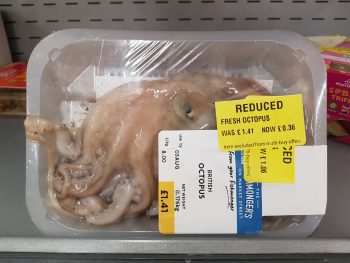 Octopus for 36 p at Morrisons
