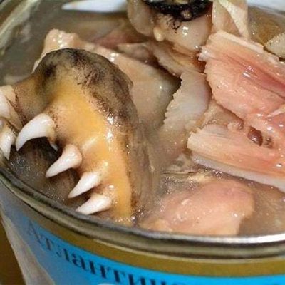 Canned fish from Russia