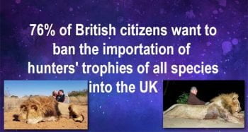 Ban trophy hunting imports. The UK wants it to happen now.
