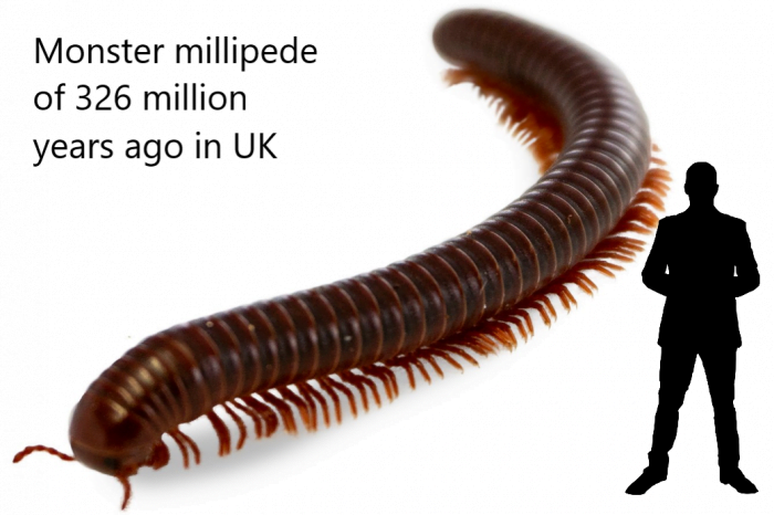 Monster millipede of 326 million years ago in Britain