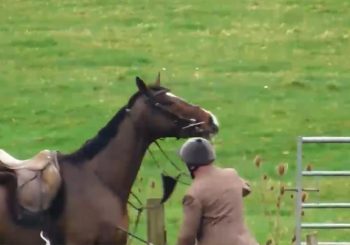Male, middle-aged Foxhunter strikes his horse with a whip in exasperation and is filmed by a foxhunt saboteur.