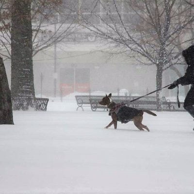 A dog owner taking his dog for a walk in Worcester, Massachusetts, USA in the snow