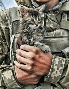Ukrainian soldier and cat companion