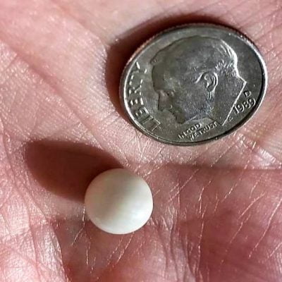 Mr Spressler's pearl