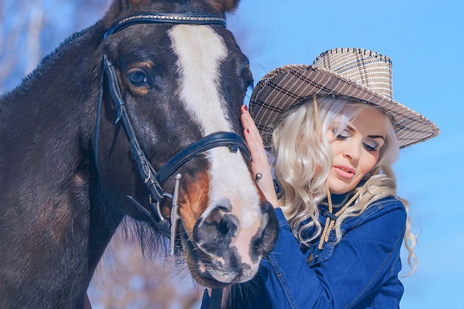 Horses Animalhuman relationship